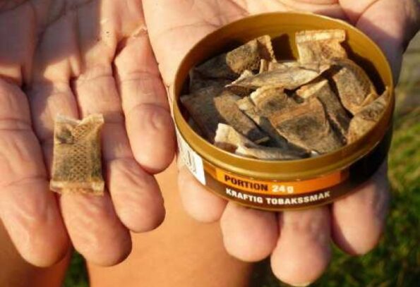 Виды снюса: какие виды бывают, чем отличаются логотип