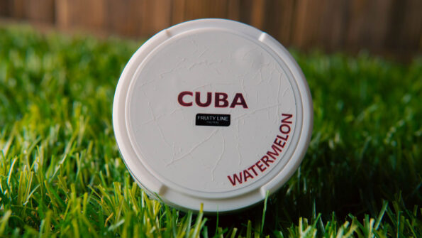 Как выбрать снюс Новичку? логотип