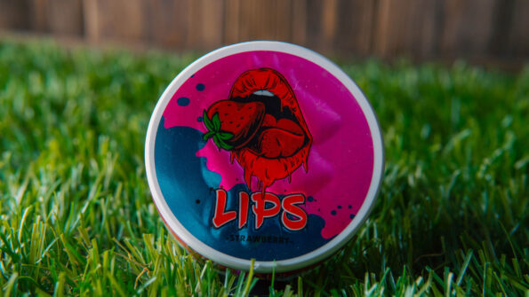 Как выбрать снюс Новичку? логотип