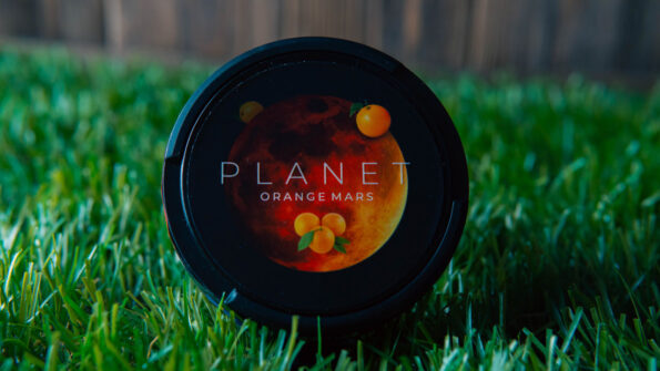 Как выбрать снюс Новичку? логотип