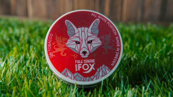 Как выбрать снюс Новичку? логотип